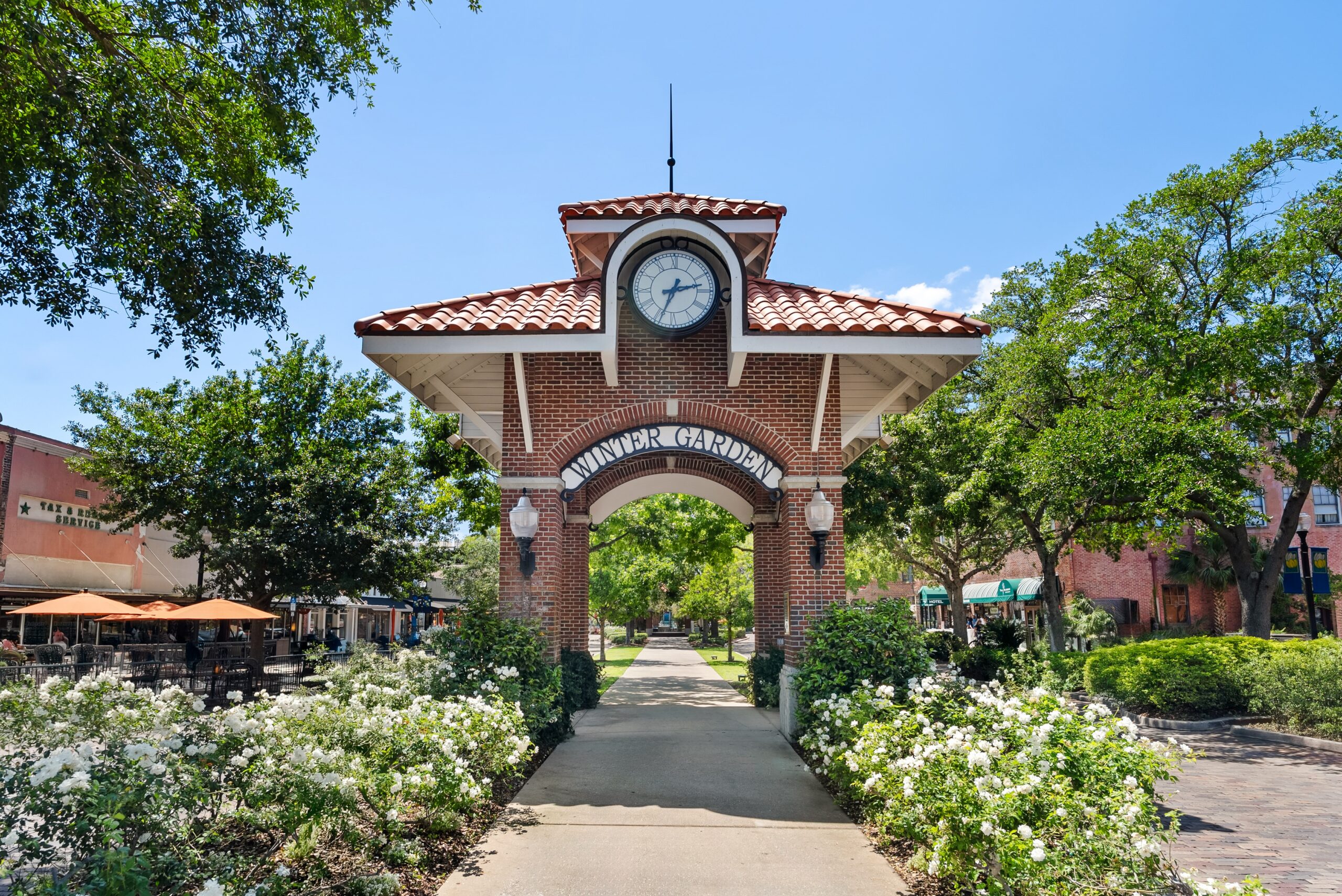 Winter Garden