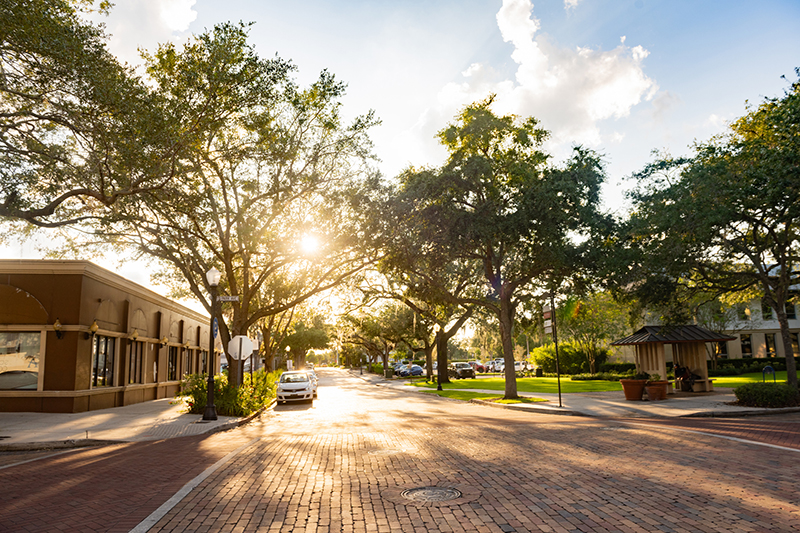 Sun Shining Through Trees on Brick Road